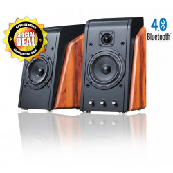 Deal-of-the-Week Swans M200A