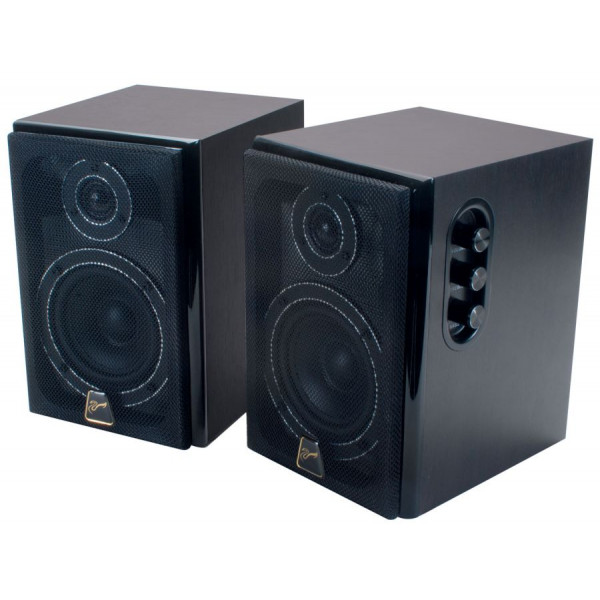 Swans D1010MKII Active Monitor Speaker System